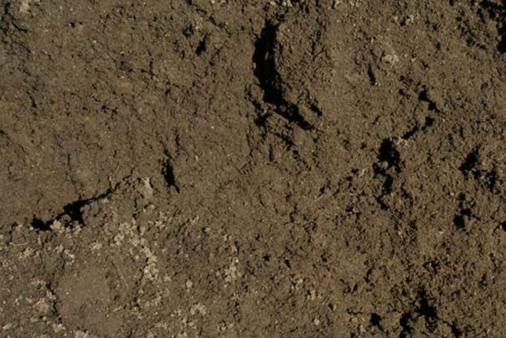 BS3882 Grade A Topsoil