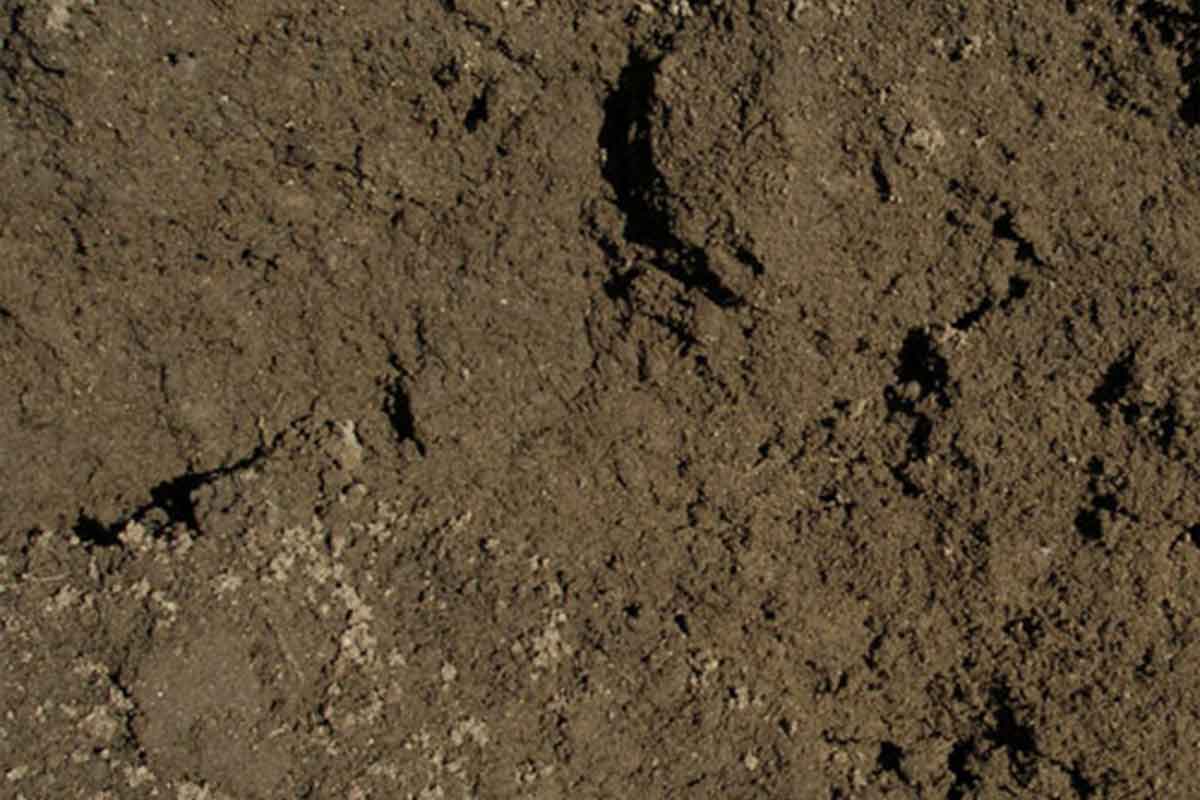 BS3882 Grade A Topsoil