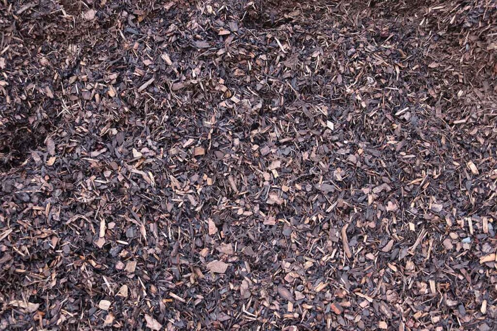 Landscape Border Bark